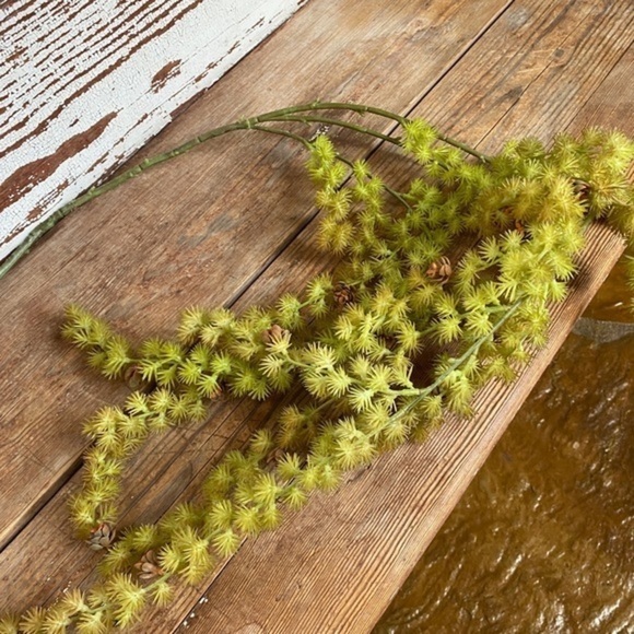 Anthropologie Terrain Trailing Succulent Spray - Picture 6 of 7